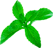 Cereza de café orgánico